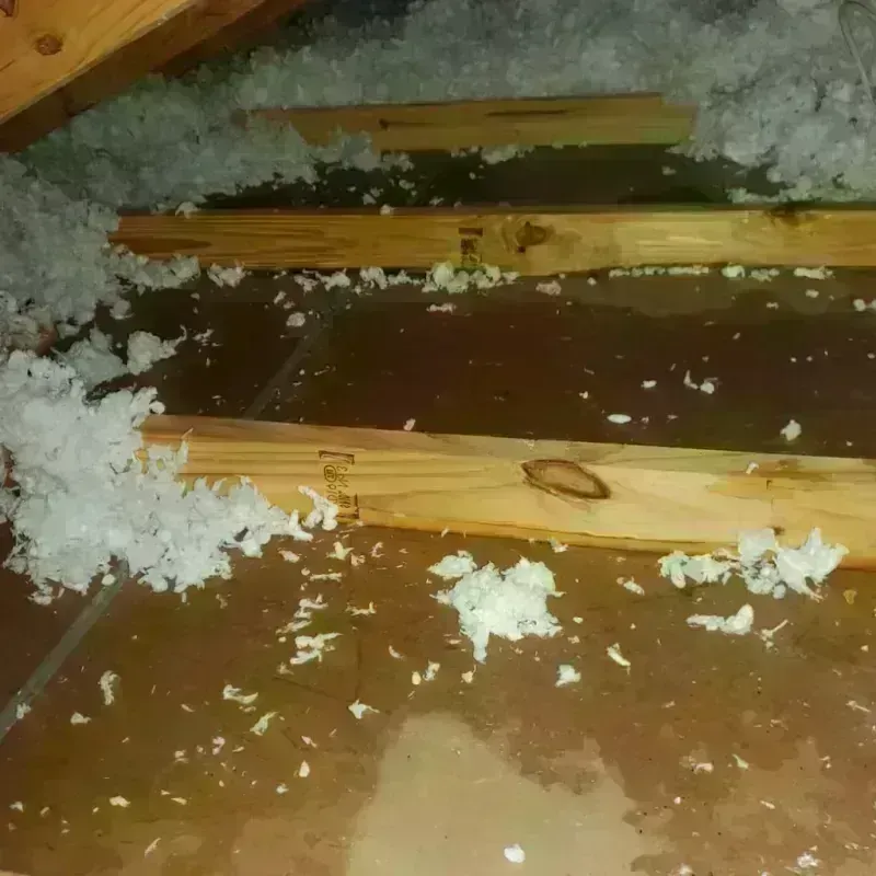 Attic Water Damage in Lantana, TX