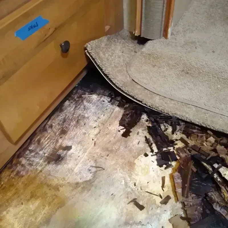 Wood Floor Water Damage in Lantana, TX